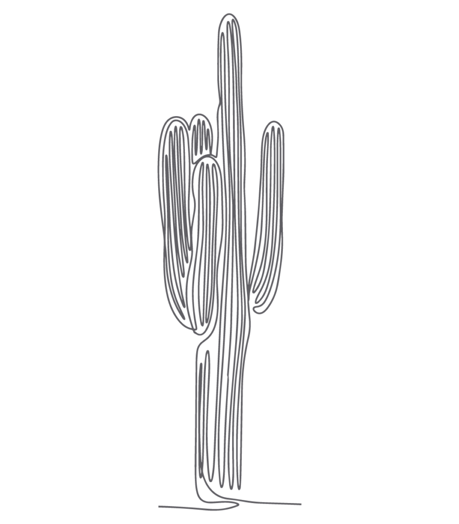 Cactus Line Art for Daily Devotions Section CTA